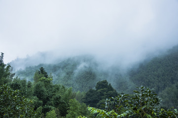 烟台疫情最新消息今天-山东烟台最新消息今天